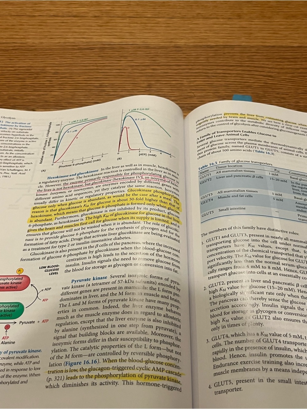 Biochemistry A Short Course Textbook 3rd Edition - Picture 2 of 2